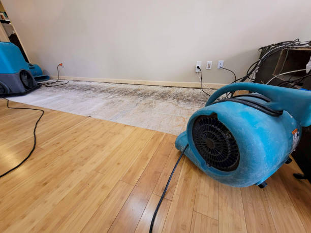 Professional Water Damage Repair technician working in Yorktown, IN